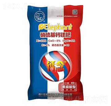 ������}�V��-����ِ��