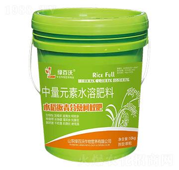 水稻返青分蘗柯杈肥-綠百沃