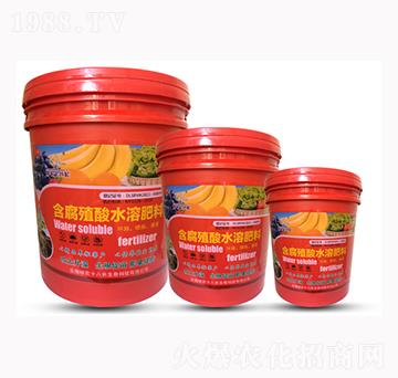 含腐殖酸水溶肥料-祥農(nóng)十八長(zhǎng)