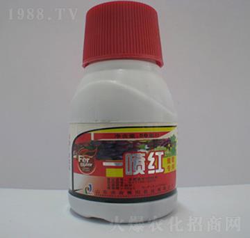 ���ь����~���-һ���t-ِ��r��