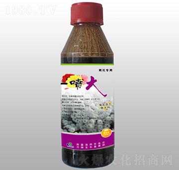 �ջ��������-һ����-ِ��r(n��ng)��