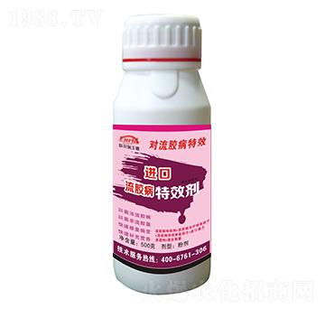 �M�����z����Ч�����ۄ���-(li��n)�r���S��