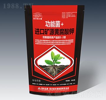 ���ܾ�+�M�ڵVԴ�S�����-(li��n)�r(n��ng)���S��