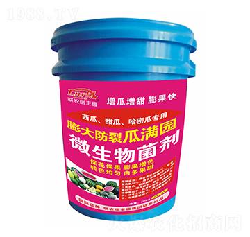 ΢�������-������Ϲ��ܹό���-�����ѹϝM�@-���S��