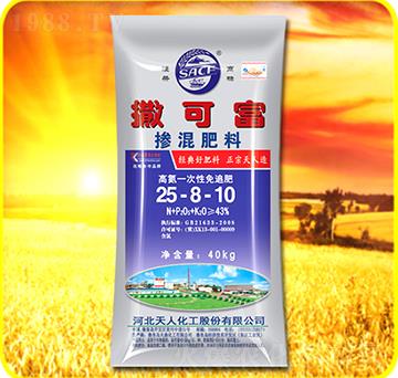 �������25-8-10-���ɸ�-���˻���