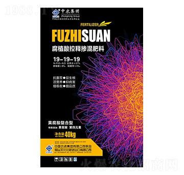 ��ֲ���ጓ������19-19-19-���r(n��ng)-���r(n��ng)�r(n��ng)�I(y��)