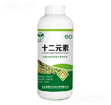 ʮ��Ԫ��-���R��