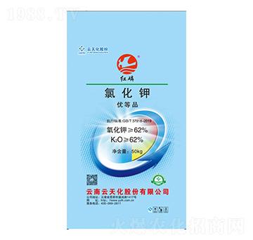 ��ɫ�Ȼ��-�t��-���o����