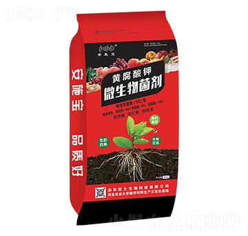 �S�����΢�������-��ʩ��-��������