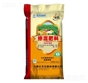 ����Ó������12-18-10-���-���o����