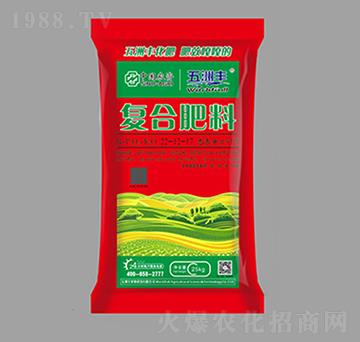 復(fù)合肥料22-12-17-五洲豐-中農(nóng)生態(tài)