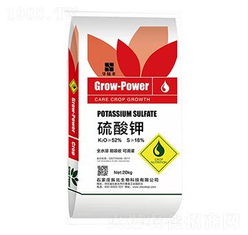 �����-�A��S-������