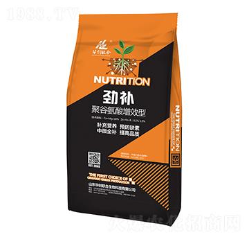 ���a�۹Ȱ�����Ч��-�A��(chu��ng)(li��n)��