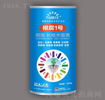 ���������Ŀ���-����1̖(h��o)-�f(w��n)���t