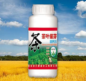 ���~��ѿ�I(y��ng)�B(y��ng)��-����