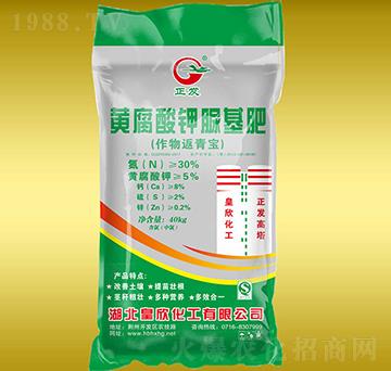 �S����������-����