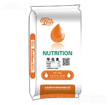 �ך���-�������