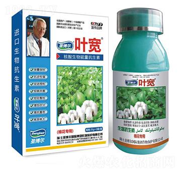 �޻���(zhu��n)���~���-��������ø�T����-�~��-ʥ��������