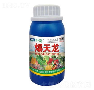 ������-�~��-ʥ��������