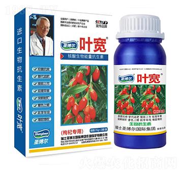 ��轌�(zhu��n)�Ì�(zhu��n)���~���-��������ø�T����-�~��-ʥ��������