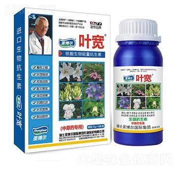 �в�ˎ�����~���-��������ø�T����-�~��-ʥ��������