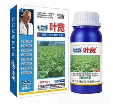 ���݌����~���-��������ø�T����-�~��-ʥ��������