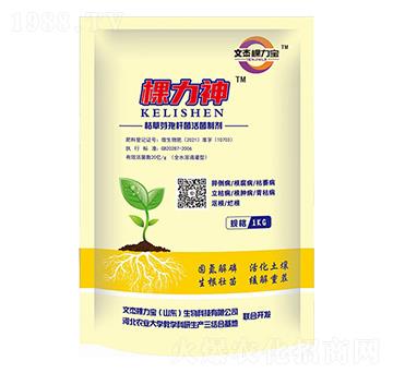 �ݲ�ѿ�ߗU������Ƅ�-������-�Ľܿ�����