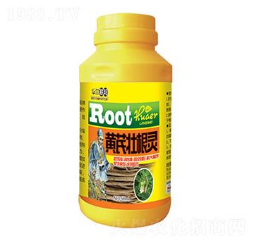 500ml�S�ΉѸ��`-