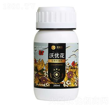 ����̼���-�փ�(y��u)��-�ֵ،�