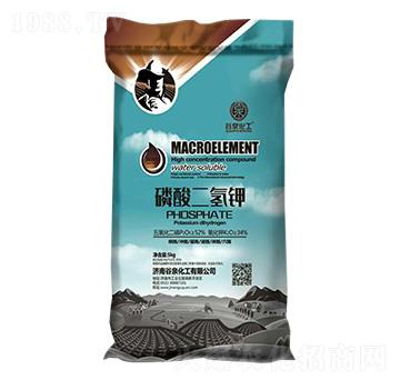 ��������-��Ȫ����