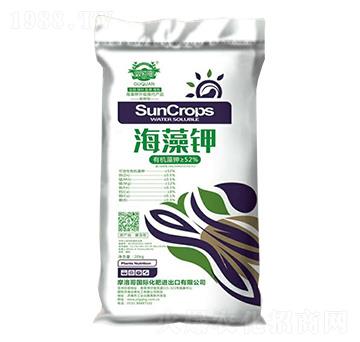 �ЙC�����-Ħ���-��