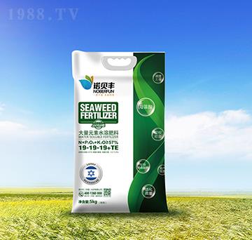 大量元素水溶肥料19-19-19+TE-諾貝豐