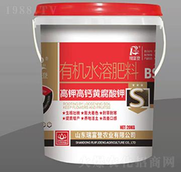 ��⛸��}�S�����-�𸻵�