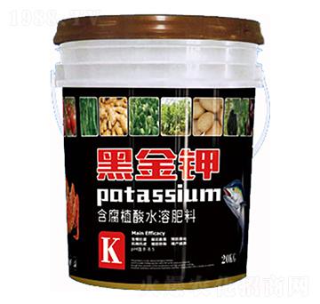 含氨基酸水溶肥料-黑金鉀-康博肥業(yè)