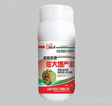 ���ь���������a(ch��n)��-��������