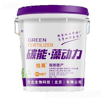 ̼�������-��������