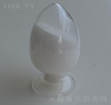 95%��ù��-�����r(n��ng)�I(y��)