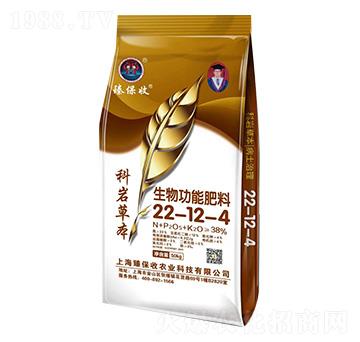 ���﹦�ܷ���22-12-4-�Ǝr�ݱ�-�鱣��