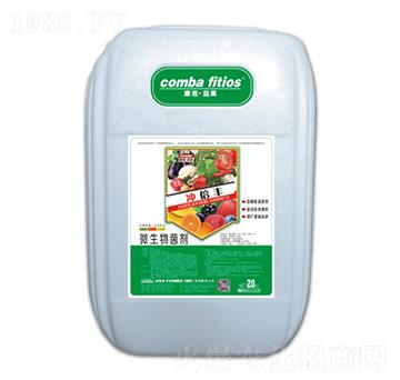 ΢�������-�_���S-��������