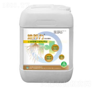 �����ޏ�(f��)��������-���B(y��ng)��-���h(hu��n)���B(t��i)