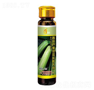 �����J�߾G���L(zh��ng)���-