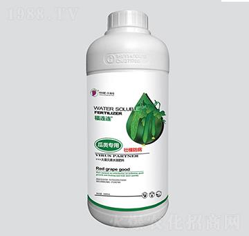 ����Éѿ÷���-�t����