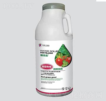 ���ь�������������-�t����