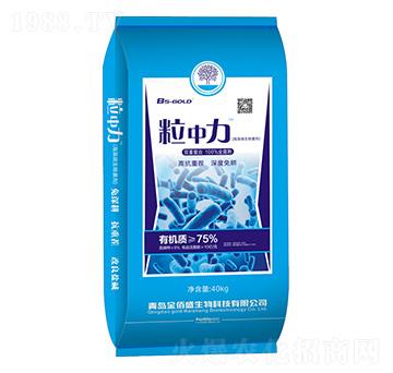 ����΢�������-������-���ʢ����