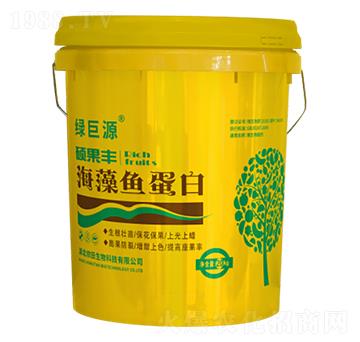 海藻魚蛋白-碩果豐-綠巨源-儂田生物