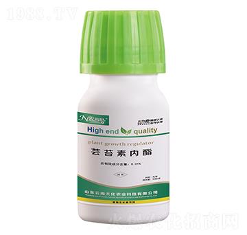 �|̦�؃�(n��i)��-�ƺ���