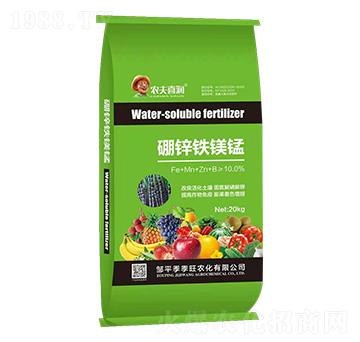 �����F�V�i-������