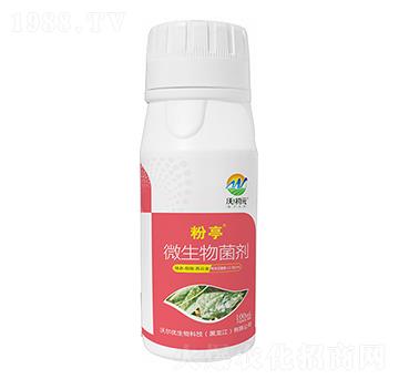 �������-��ͤ-�ֳ�Ԫ-�֠���(y��u)