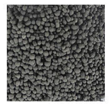 腐植酸鎂-深奧科技