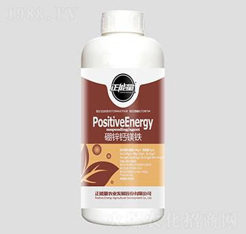 1300g���\�}�V�F-������